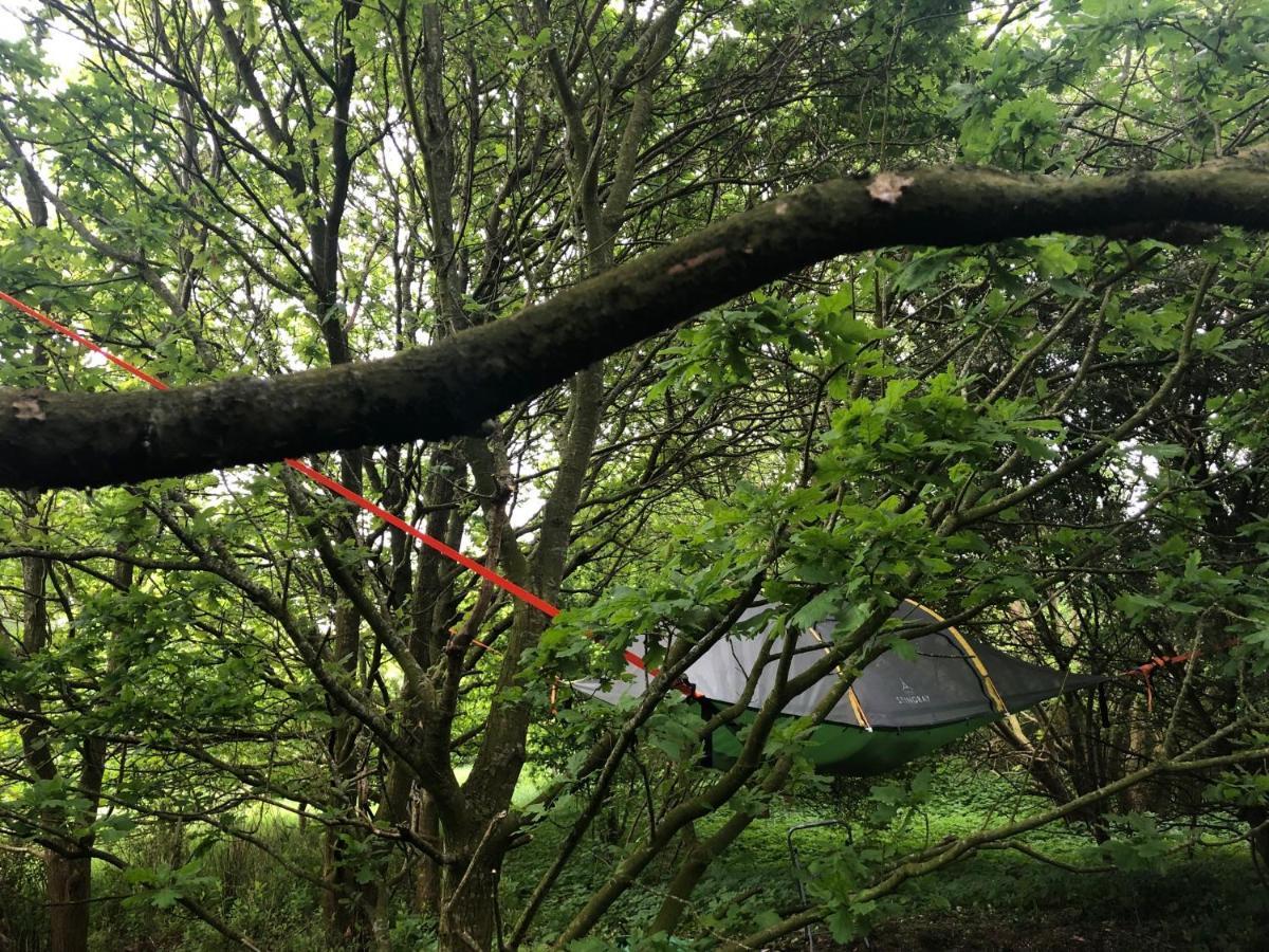 Naturecamp 쿡스하펜 외부 사진